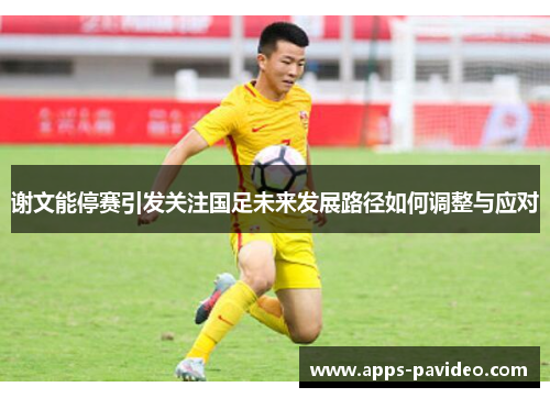 谢文能停赛引发关注国足未来发展路径如何调整与应对