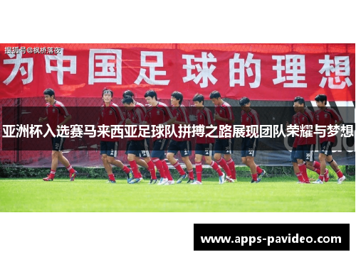 亚洲杯入选赛马来西亚足球队拼搏之路展现团队荣耀与梦想