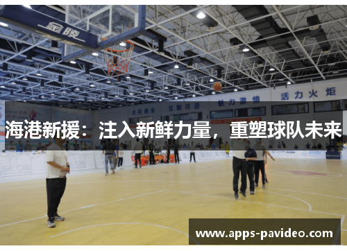 海港新援：注入新鲜力量，重塑球队未来