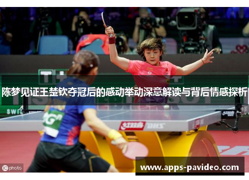 陈梦见证王楚钦夺冠后的感动举动深意解读与背后情感探析