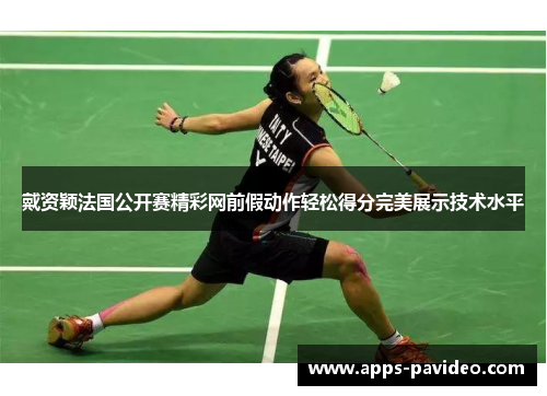 戴资颖法国公开赛精彩网前假动作轻松得分完美展示技术水平