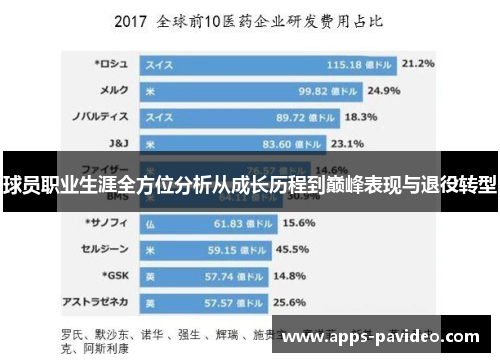 球员职业生涯全方位分析从成长历程到巅峰表现与退役转型 球员职业生涯全方位分析从成长历程到巅峰表现与退役转型