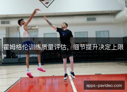 霍姆格伦训练质量评估，细节提升决定上限